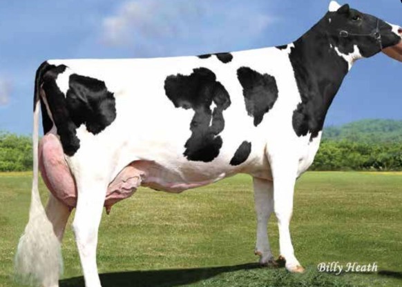 Pen-Col Legacy Best-ET EX-90, MGD of Lochlan