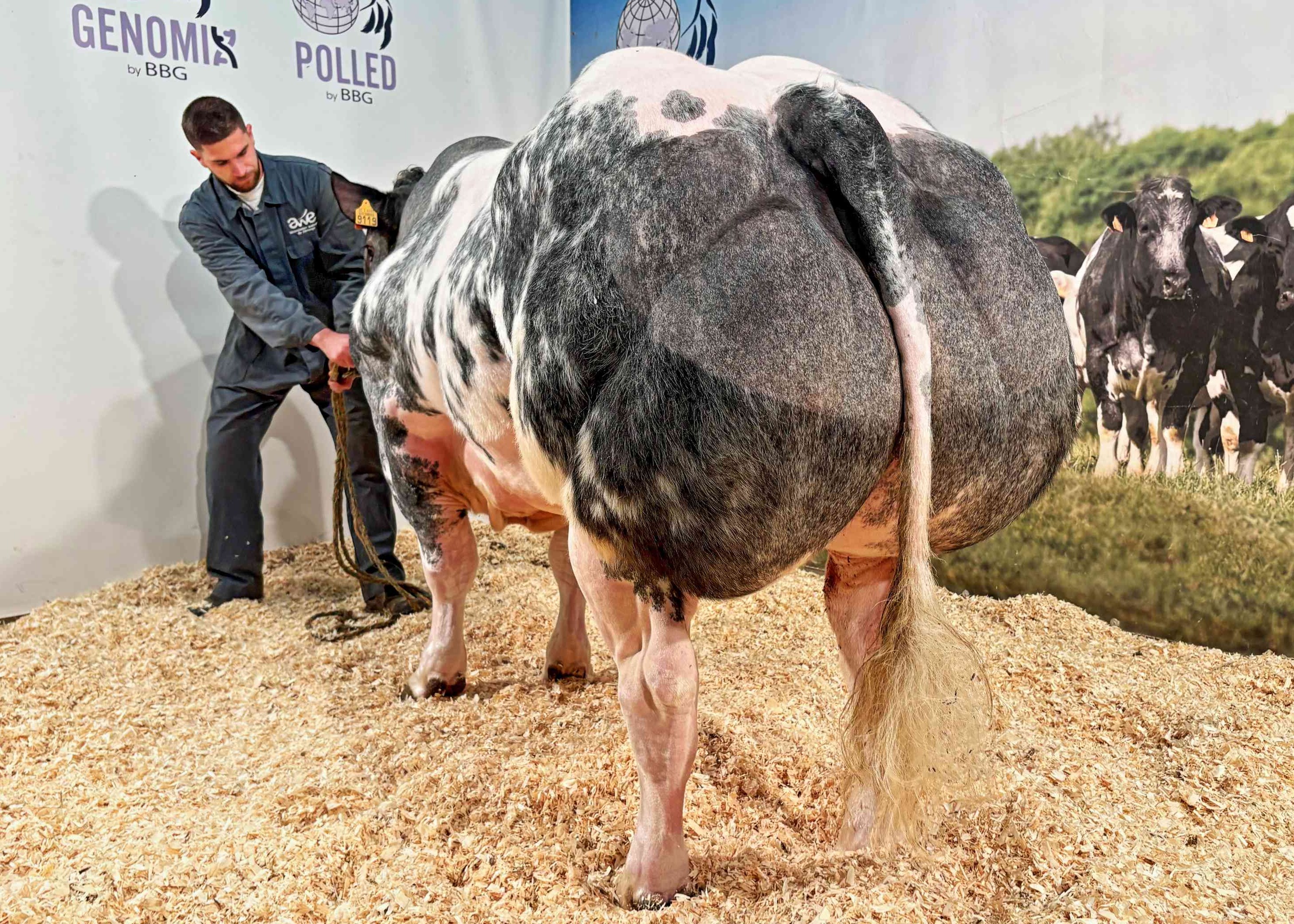 Bolivar de la Langherode