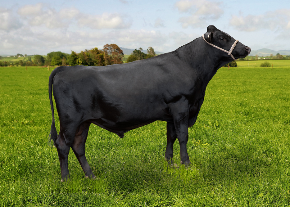 525661 GREENMILE ROLLON-ET F11J5