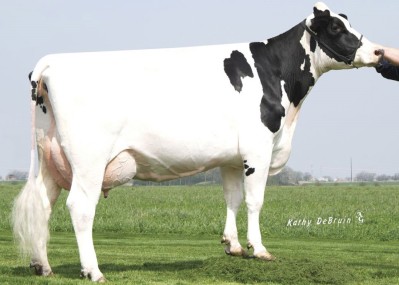 Coyne-Farms Yelena Cri-ET VG-85 GMD DOM, 9th Dam of Luxe