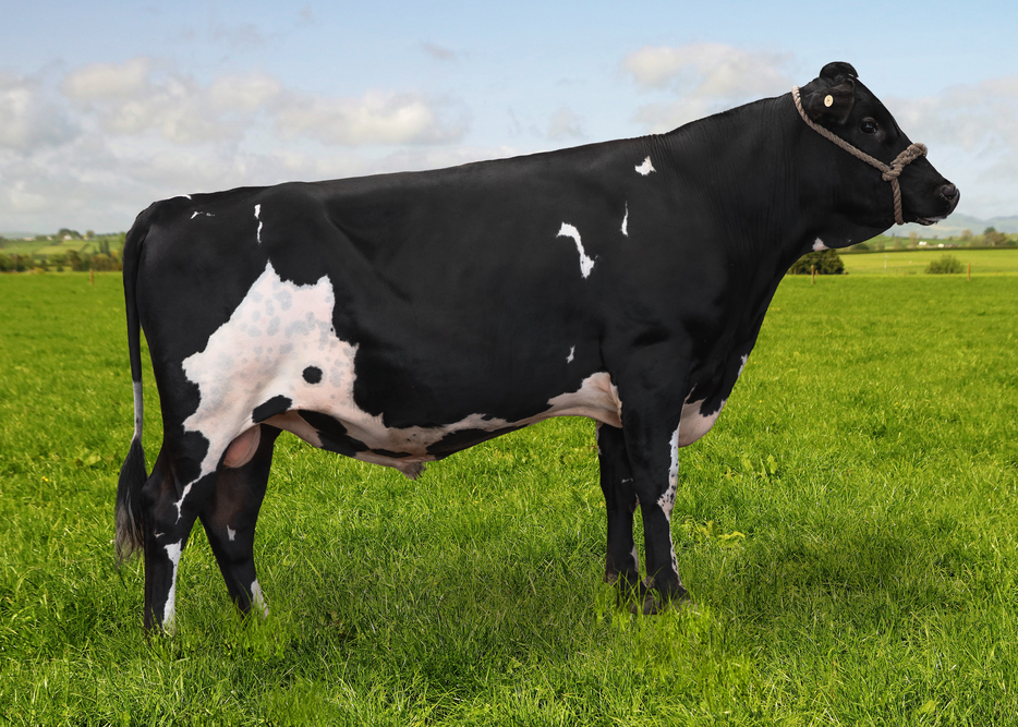 525663 GREENMILE WINNA-ET F10J6