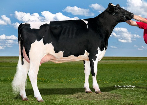 Wcd-Zbw Supersire Lavage-ET VG-86 DOM, MGD of Langley