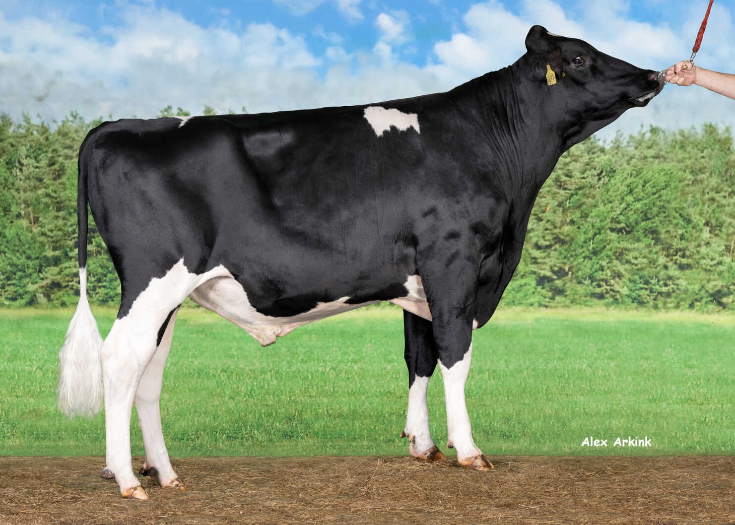 Delta Orinoco RF