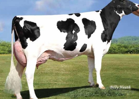 Pen-Col Legacy Best-ET EX-90, MGGD of Gameover