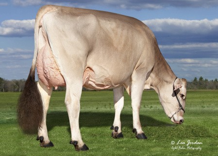 Hilltop Acres Nash Iggy (v. Nashville)