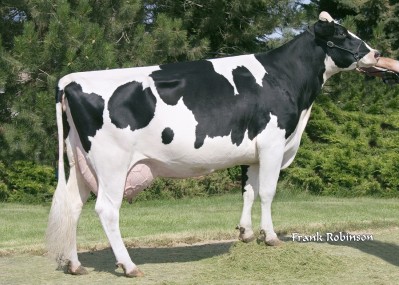 Seagull-Bay Oman Mirror-ET VG-86 DOM, 9th Dam of Multiverse