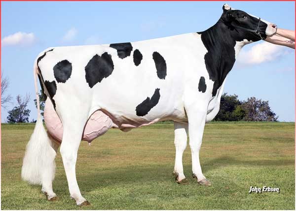 Plain-Knoll Josuper 794-ET VG-85, DOM, MGGD of Shifu