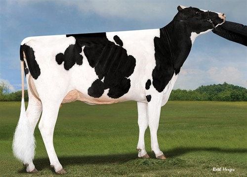 Synergy Rubicon Perfect-ET, MGGD of Prepy