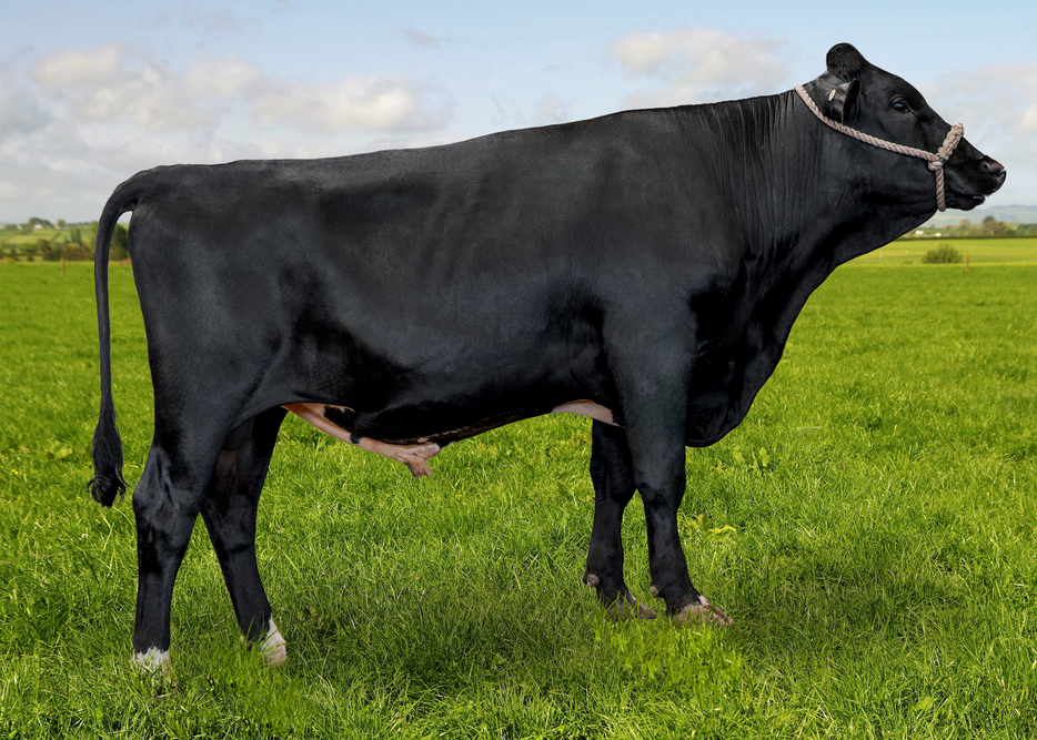 125528 PROCTER WY GALANTYUS S2F